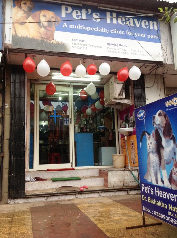 Pets Heaven - Veterinary Clinic in Hadapsar (Near Near ...